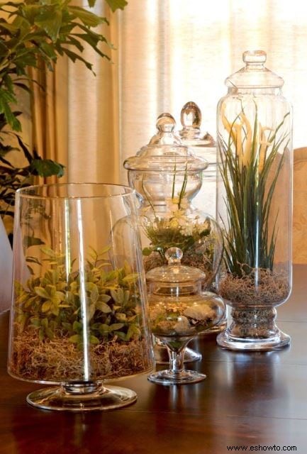 Ideas para terrarios:55 jardines en miniatura sencillos que te encantarán