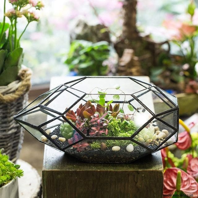 Ideas para terrarios:55 jardines en miniatura sencillos que te encantarán