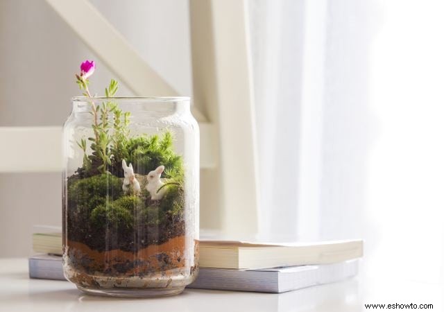 Ideas para terrarios:55 jardines en miniatura sencillos que te encantarán