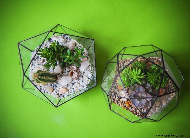 Ideas para terrarios:55 jardines en miniatura sencillos que te encantarán