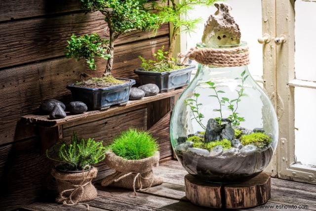 Ideas para terrarios:55 jardines en miniatura sencillos que te encantarán