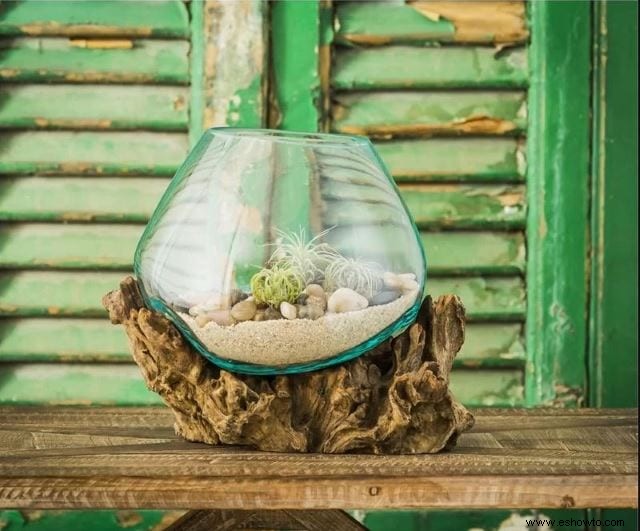 Ideas para terrarios:55 jardines en miniatura sencillos que te encantarán