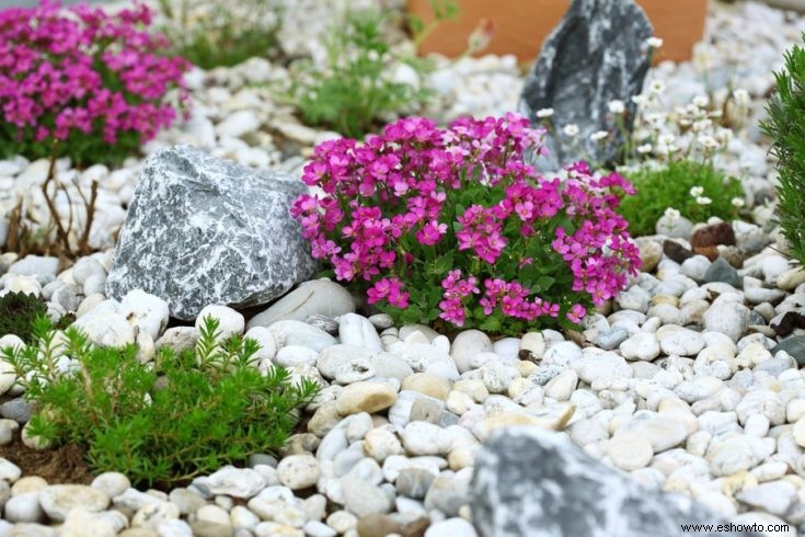 Todo lo que necesitas saber sobre cómo construir jardines de rocas