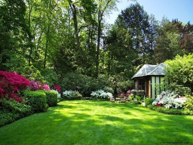 Todo lo que necesitas saber sobre cómo construir jardines de rocas