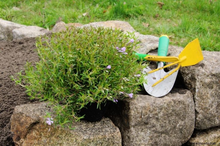 Todo lo que necesitas saber sobre cómo construir jardines de rocas