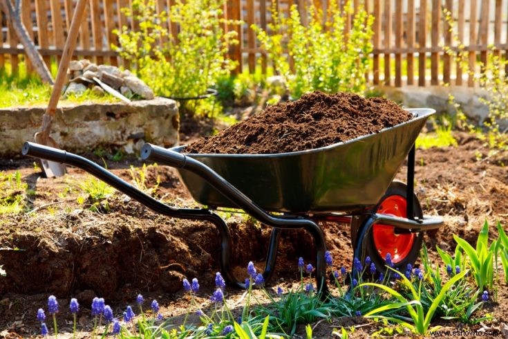 Todo lo que necesitas saber sobre cómo construir jardines de rocas