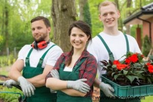 Las mejores plantas para cultivar a partir de esquejes