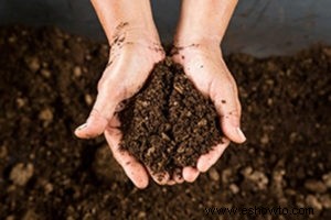 ¿Se puede usar tierra de jardín en macetas?