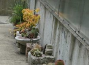 Guía completa: Cómo hacer un comedero de hypertufa para tu jardín paso a paso