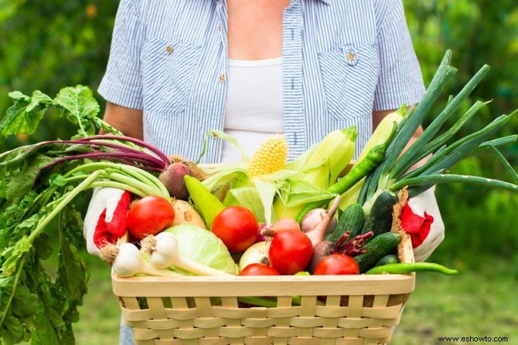 Comience su propio jardín con esta sencilla guía paso a paso