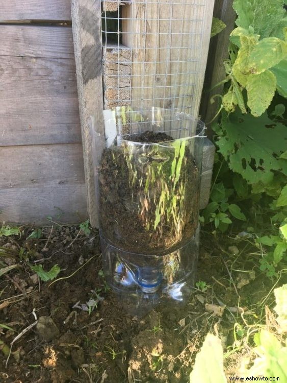 Cómo hacer un jardín de torre de botellas