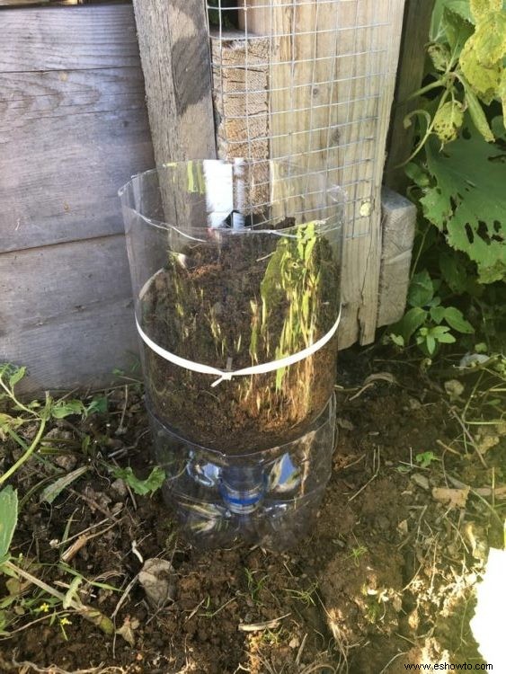 Cómo hacer un jardín de torre de botellas