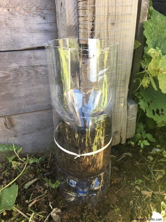 Cómo hacer un jardín de torre de botellas