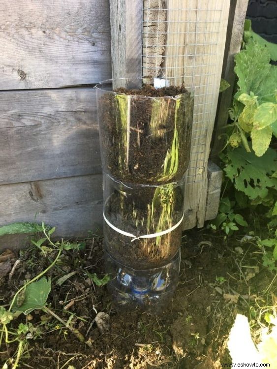 Cómo hacer un jardín de torre de botellas