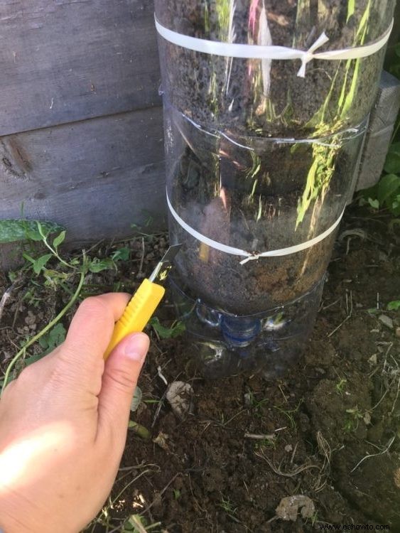 Cómo hacer un jardín de torre de botellas