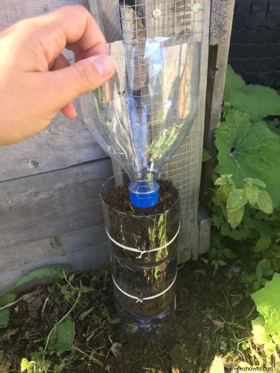 Cómo hacer un jardín de torre de botellas