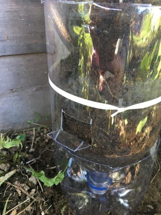 Cómo hacer un jardín de torre de botellas