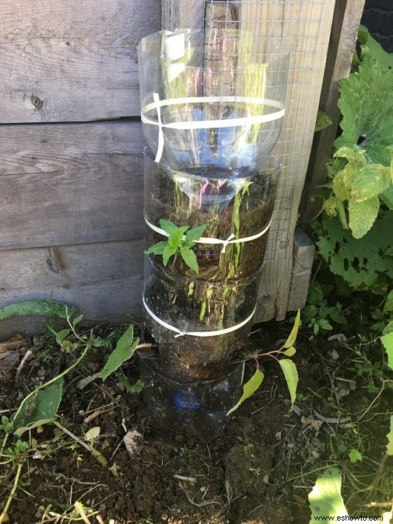 Cómo hacer un jardín de torre de botellas