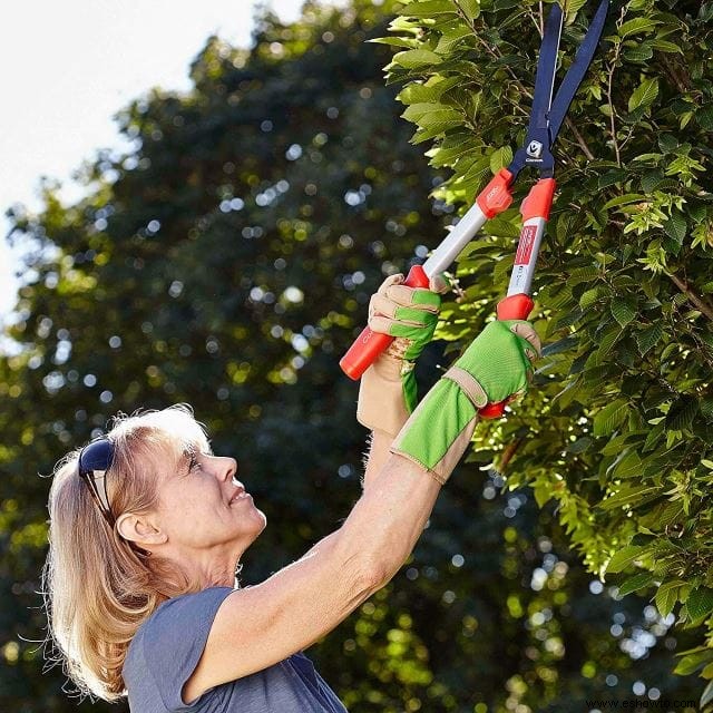 88 Regalos para jardineros:¡Fabulosos hallazgos que querrás conservar para ti!