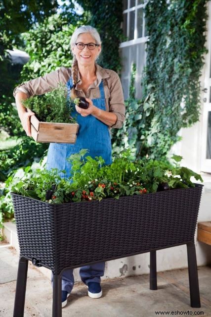 88 Regalos para jardineros:¡Fabulosos hallazgos que querrás conservar para ti!