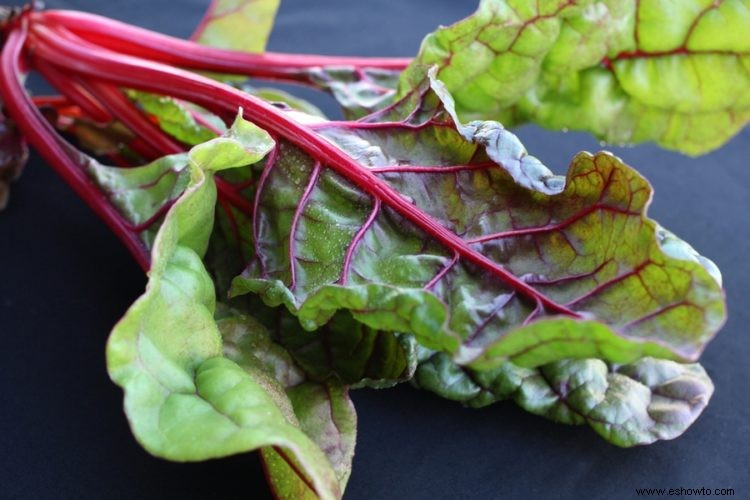 Beneficios para la salud de los microvegetales:una guía para cultivar vegetales inteligentes
