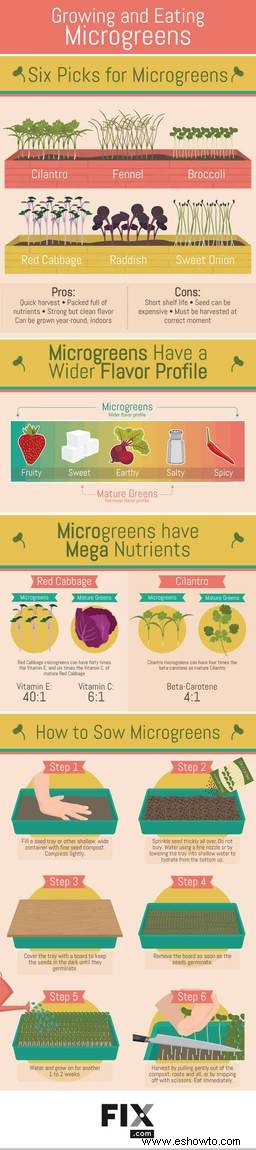 Beneficios para la salud de los microvegetales:una guía para cultivar vegetales inteligentes