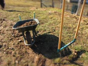 Todo el mundo puede disfrutar de las rosas sin importar dónde cultive el jardín