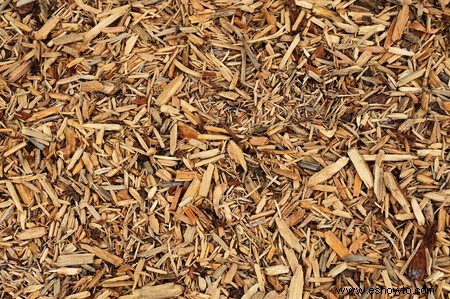 Mulch vs compost:¿Cuál es la diferencia y cuál es mejor?