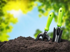 Mulch vs compost:¿Cuál es la diferencia y cuál es mejor?