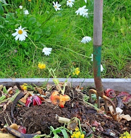 Mulch vs compost:¿Cuál es la diferencia y cuál es mejor?
