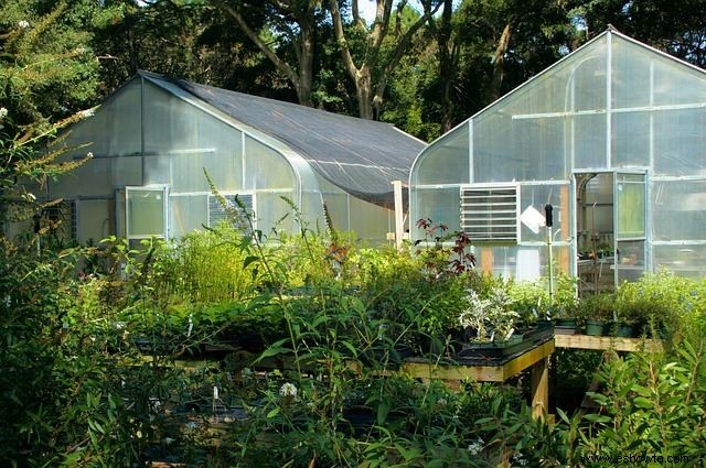 Todo lo que necesita saber sobre la jardinería en marco frío