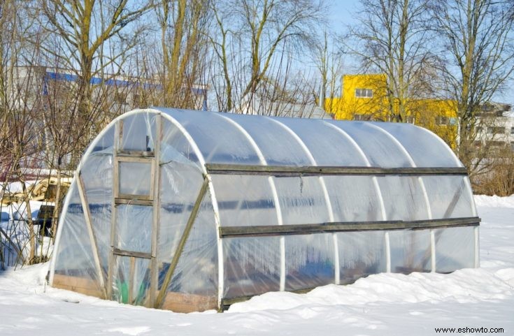 Todo lo que necesita saber sobre la jardinería en marco frío