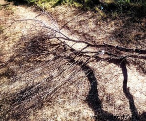 Enrejado de jardín de bricolaje:fondos rústicos de madera para tus bellezas trepadoras