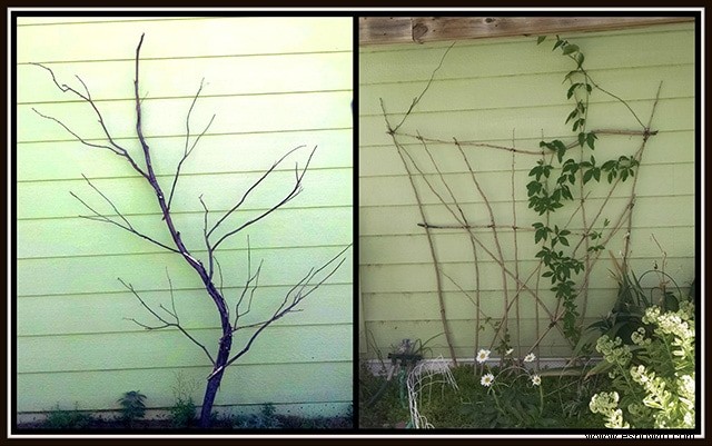 Enrejado de jardín de bricolaje:fondos rústicos de madera para tus bellezas trepadoras