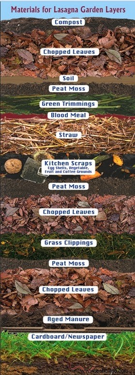 Jardinería con lasaña:una guía para ahorrar presupuesto, proceso sencillo
