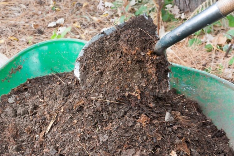 Jardinería con lasaña:una guía para ahorrar presupuesto, proceso sencillo