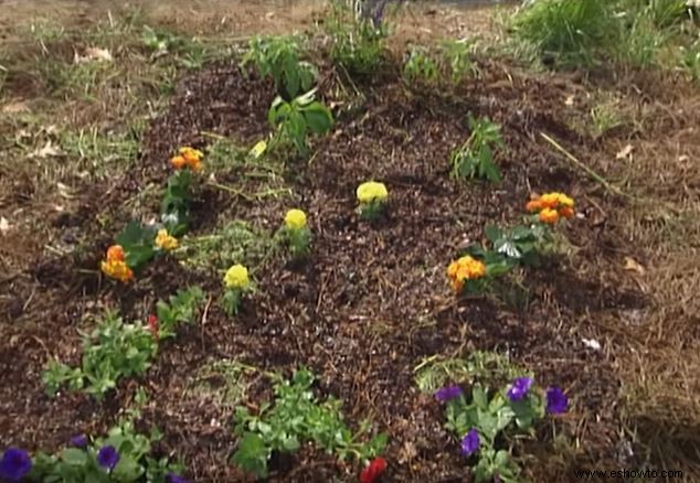 Jardinería con lasaña:una guía para ahorrar presupuesto, proceso sencillo