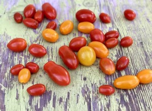 Guía completa: Cómo plantar, cultivar y cosechar tomates en casa