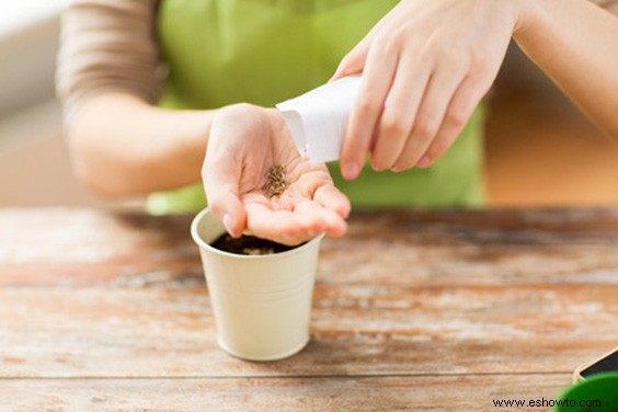 Ahorre dinero en plantas:de la A a la Z