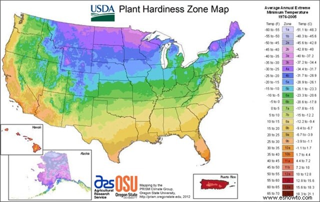 Ahorre dinero en plantas:de la A a la Z