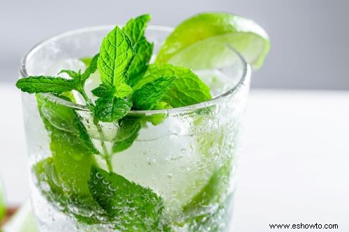 Cómo cultivar menta en casa