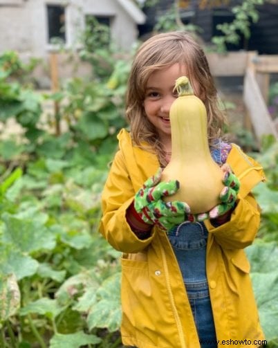 Consejos para plantar calabazas:cómo cultivar una calabaza en 2020