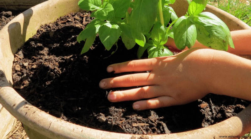 Papas perfectas:cómo plantar, cultivar y cosechar en casa