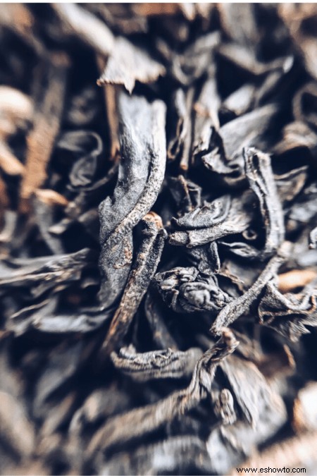 Guía para cultivar té negro, verde, blanco y oolong en casa