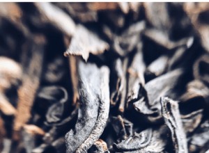 Guía Completa y Experta para Cultivar Té Negro, Verde, Blanco y Oolong en Casa