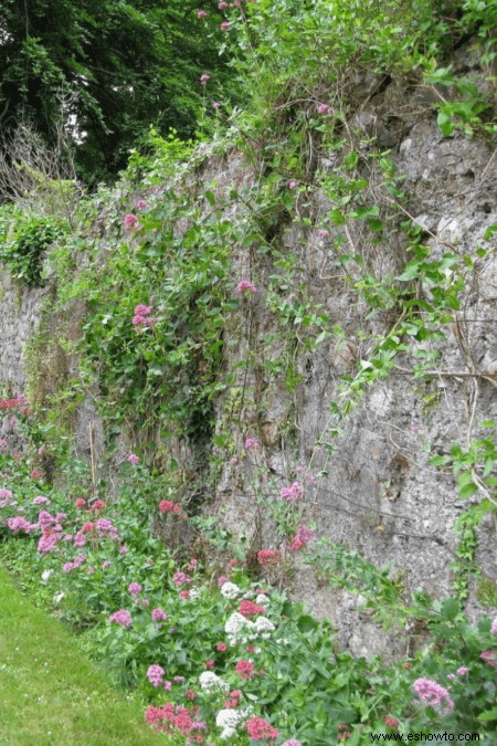 Cómo plantar un jardín de mariposas en tu patio trasero