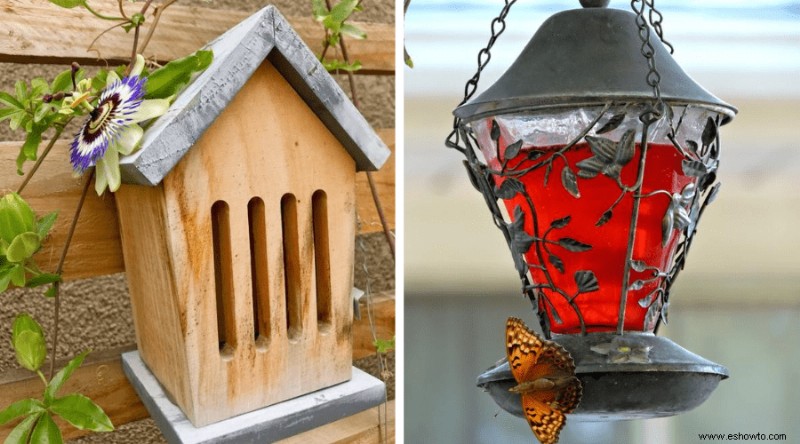 Cómo plantar un jardín de mariposas en tu patio trasero