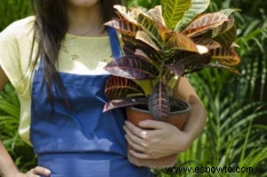 Los increíbles beneficios para la salud de la jardinería y por qué necesita practicarla