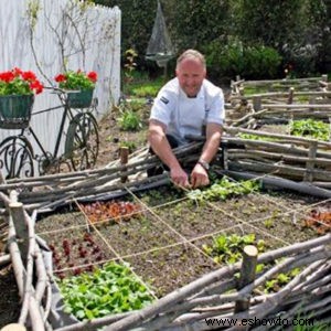 Los increíbles beneficios para la salud de la jardinería y por qué necesita practicarla