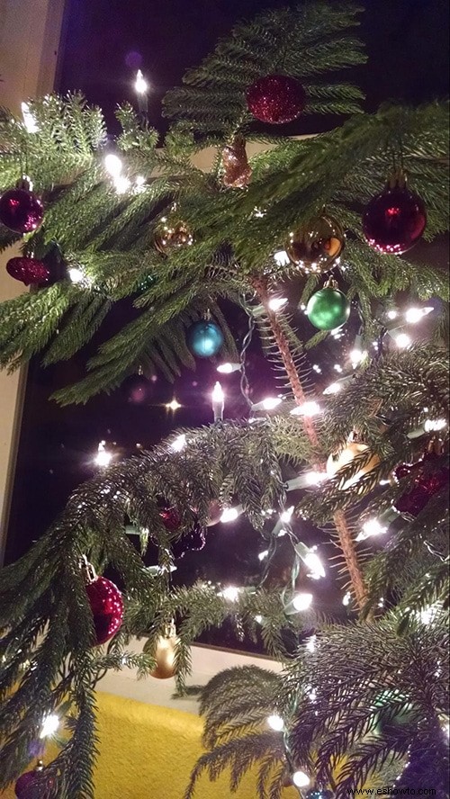 Cuidar un árbol de Navidad vivo
